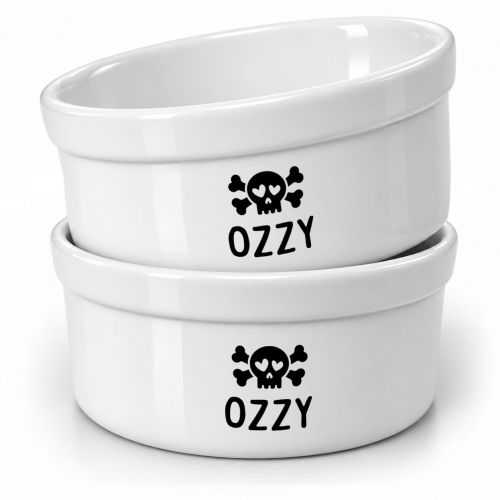Kit Comedouro e Bebedouro Personalizados Com o Nome do Pet - Caveira