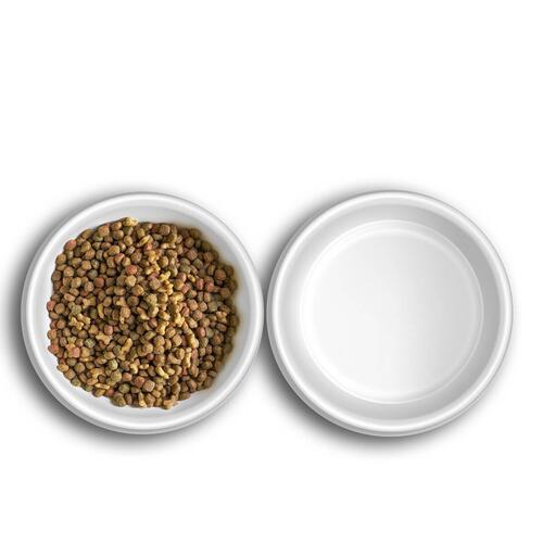 Kit com Comedouro e Bebedouro Personalizados Com o Nome do Pet - Dupla de Tigelas de Cer�mica para Gatos - Gataria