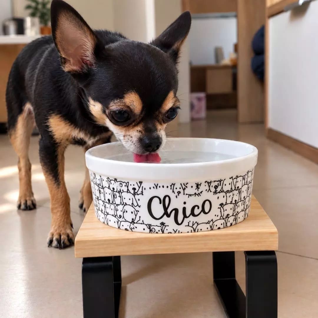 Comedouro ou Bebedouro de Cerâmica Personalizado para Cães - Cachorrada