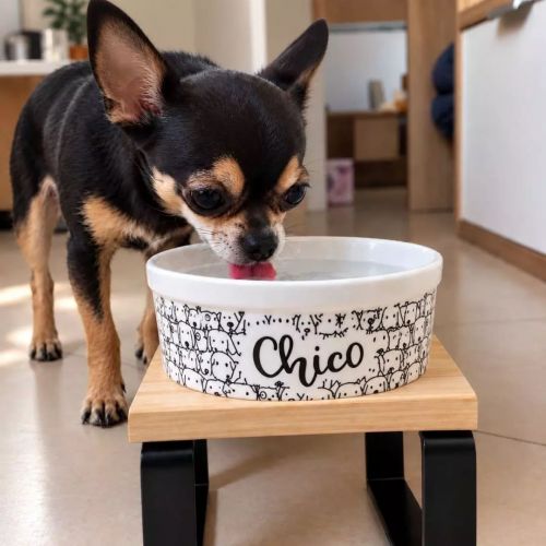 Comedouro ou Bebedouro de Cerâmica Personalizado para Cães - Cachorrada