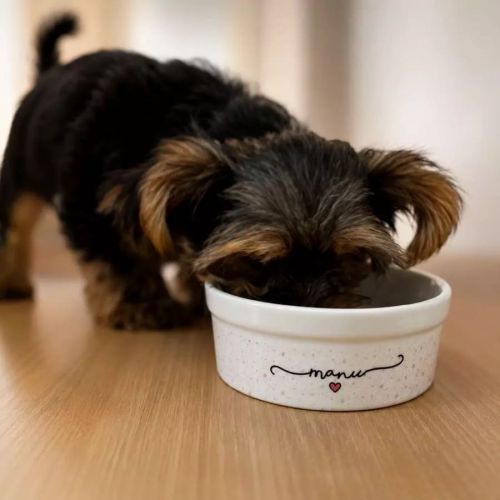 Comedouro ou Bebedouro de Cer�mica Personalizado - Cole��o Patinha