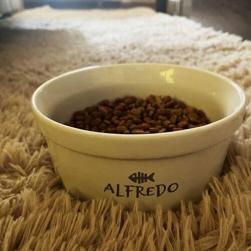 Comedouro Personalizado Com o Nome do Pet - Tigela de Cer�mica para Gatos - Preto e Branco