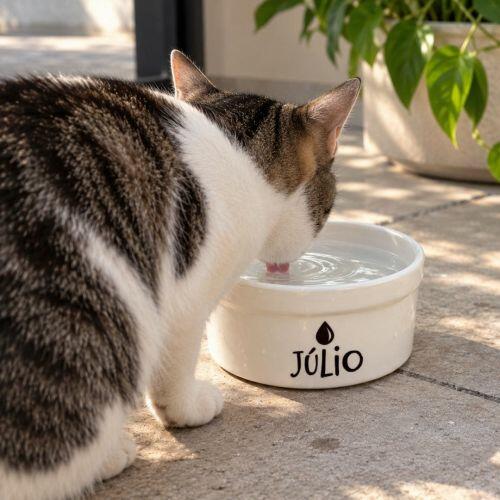 Bebedouro Personalizado Com o Nome do Pet - Tigela de Cer�mica para C�es e Gatos - Preto e Branco