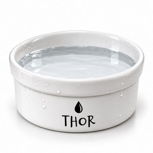 Bebedouro de Cer�mica Personalizado para C�es e Gatos - Preto e Branco