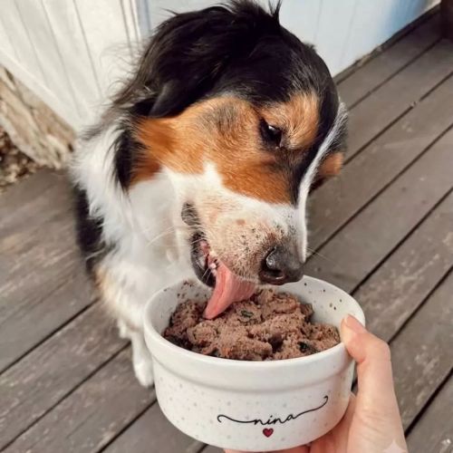 Kit Comedouro + Bebedouro + Tapete Personalizados Com o Nome do Pet - Coleção Patinha