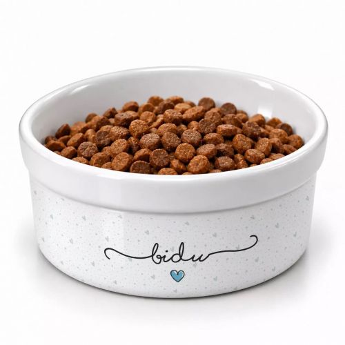 Kit Comedouro + Bebedouro + Tapete Personalizados Com o Nome do Pet - Coleção Patinha