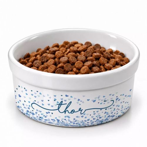 Kit Comedouro + Bebedouro + Tapete Personalizados Com o Nome do Pet - Cora��es Azuis ou Rosas Rosas