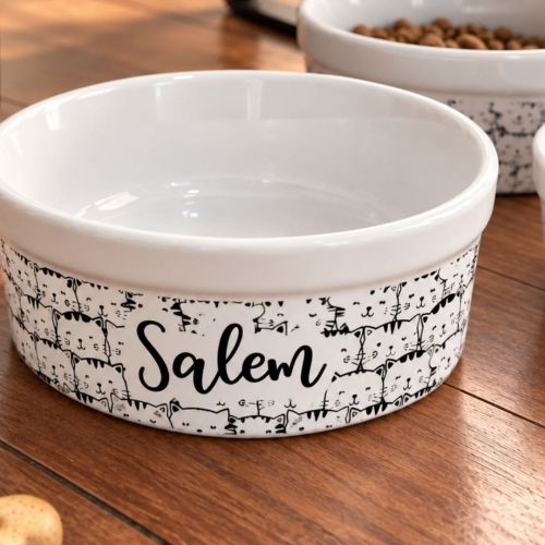 Kit Comedouro + Bebedouro + Tapete Personalizados Com o Nome do Pet - Gataria