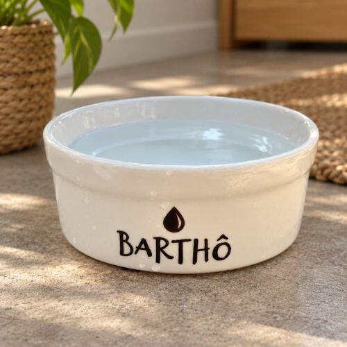 Kit Comedouro + Bebedouro + Tapete Personalizados para Cachorro - Preto e branco