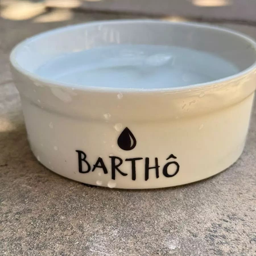 Kit Comedouro + Bebedouro + Tapete Personalizados para Cachorro - Preto e branco