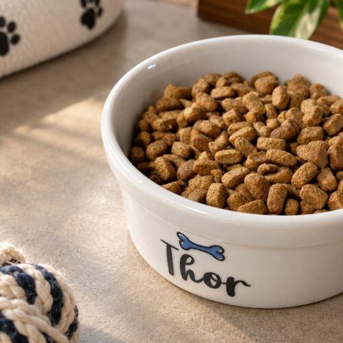 Comedouro Personalizado Com o Nome do Pet - Osso ou Peixe  - Escolha a Cor