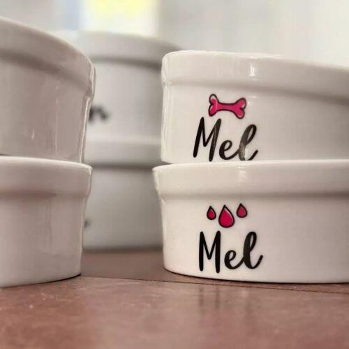 Bebedouro Personalizado Com o Nome do Pet - Gotas ou Ondas - Escolha a Cor