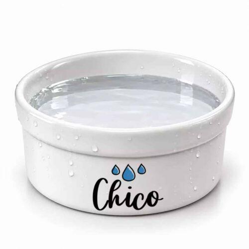 Bebedouro Personalizado Com o Nome do Pet - Gotas ou Ondas - Escolha a Cor