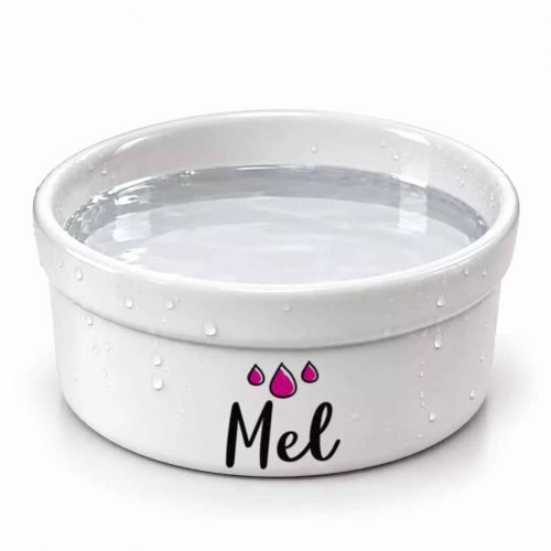 Bebedouro Personalizado Com o Nome do Pet - Gotas ou Ondas - Escolha a Cor