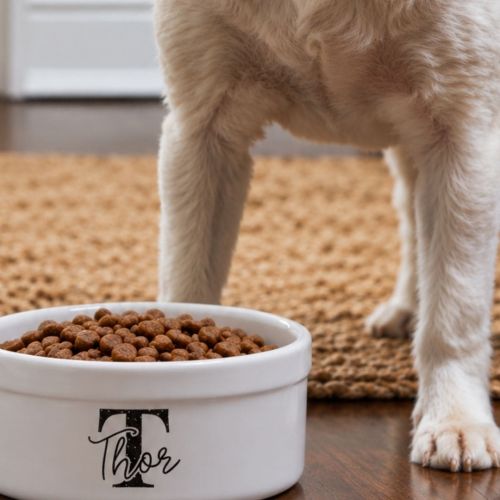 Tigela Personalizada para Pets - Monograma - Escolha a Cor - 8 cores dispon�veis