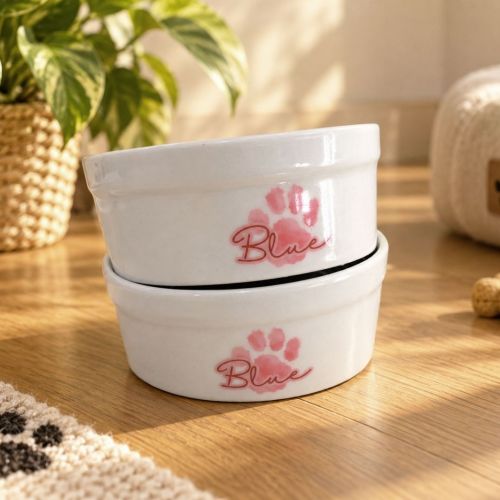 Kit Comedouro + Bebedouro Personalizados Com o Nome do Pet - Dupla de Tigelas de Cer�mica para Pets - Patinha Aquarela - Rosa