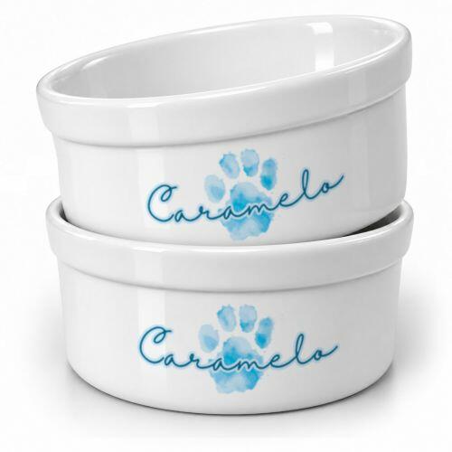 Kit Comedouro e Bebedouro de Cer�mica com Nome do Pet - Patinha Aquarela Azul ou Rosa Rosa