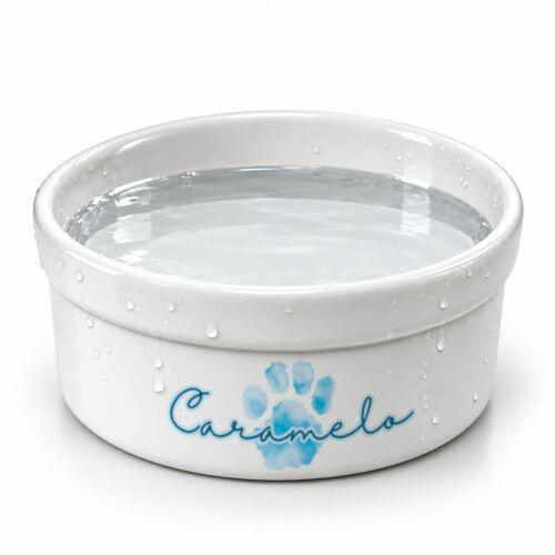 Kit Comedouro e Bebedouro de Cer�mica com Nome do Pet - Patinha Aquarela Azul ou Rosa Rosa