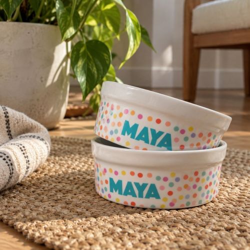 Kit Comedouro e Bebedouro de Cer�mica com Nome do Pet - Confetes