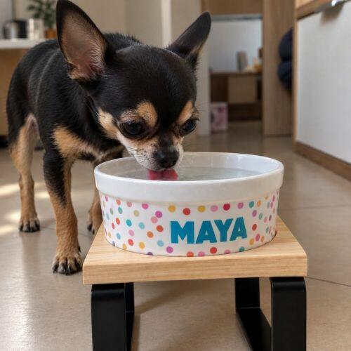 Kit Comedouro e Bebedouro de Cer�mica com Nome do Pet - Confetes