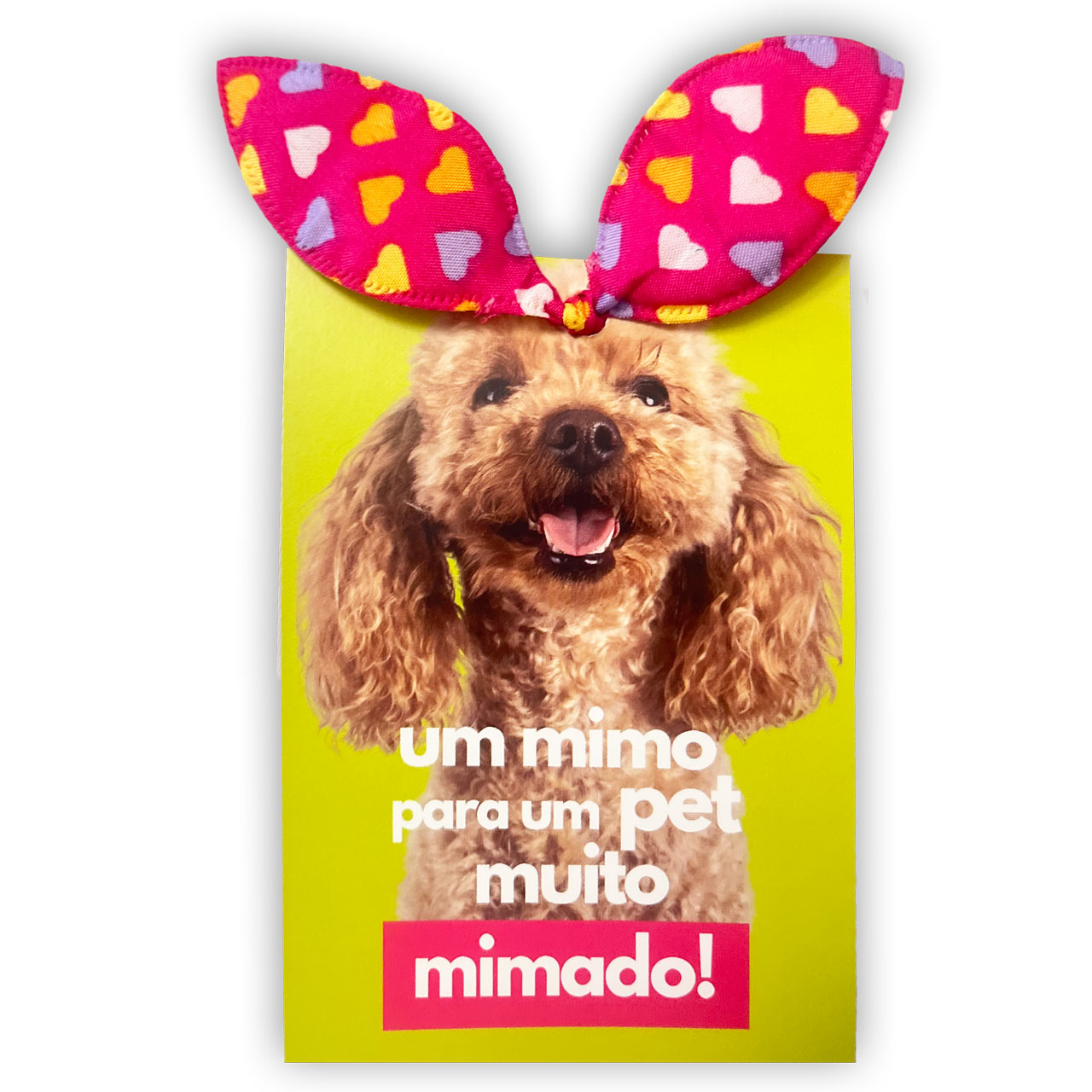 Laço Xuxinha - Cores Sortidas - Um Mimo Para Um Pet Muito Mimado