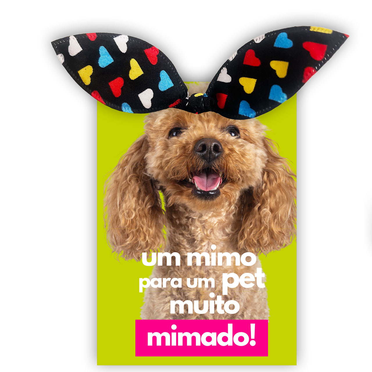 Laço Xuxinha - Cores Sortidas - Um Mimo Para Um Pet Muito Mimado