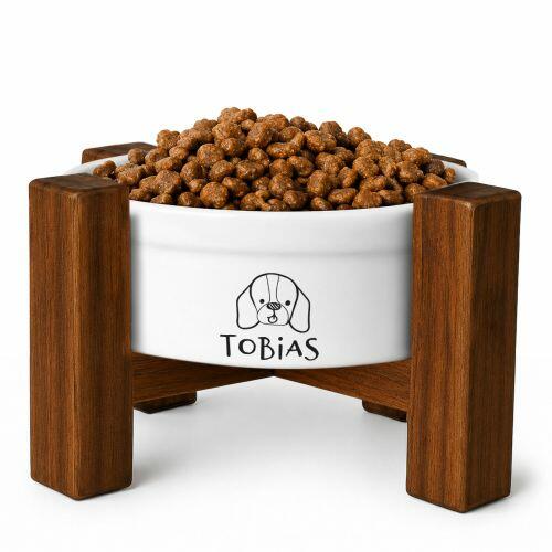 Kit Tigela Personalizada + Suporte de Eleva��o -  Beagle