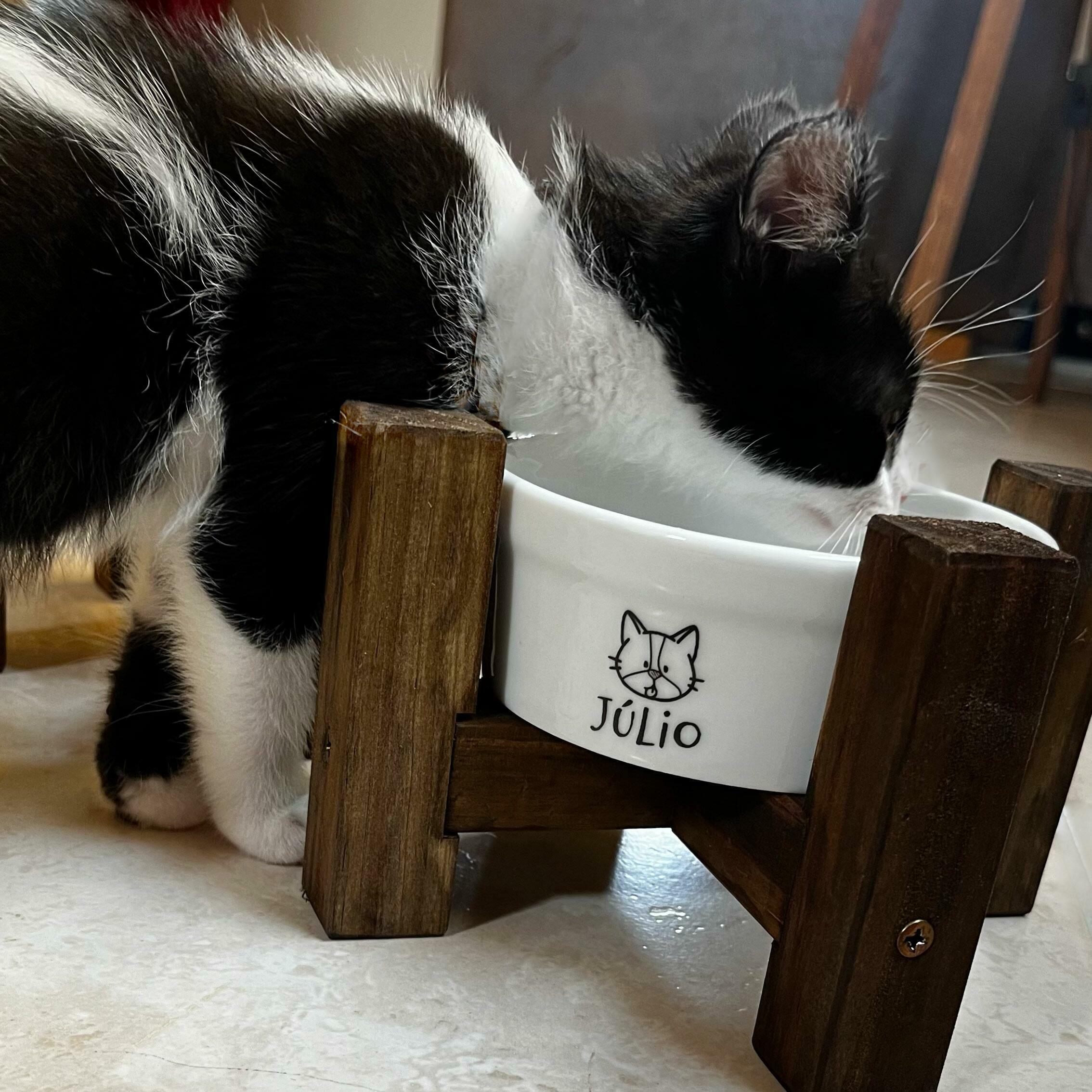 Kit Comedouro + Bebedouro Personalizados Com o Nome do Pet - Dupla de Tigelas de Cerâmica para Pets - Vira Lata Peludo