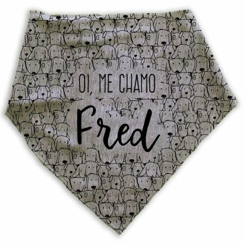 Bandana Personalizada Com o Nome do Pet - Cachorrada