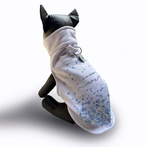 Moletom para Pet com Plaquinha Grátis - Personalizado - Corações Azuis