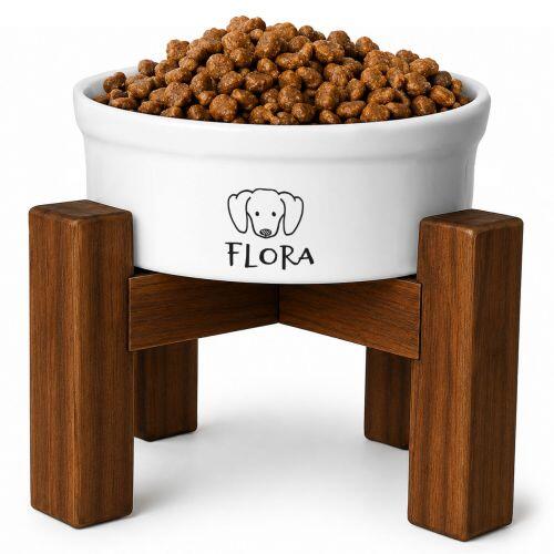 Kit Tigela Personalizada + Suporte de Elevação - Dachshund - Salsicha