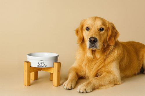 Comedouro/Bebedouro Personalizado Com o Nome do Pet - Tigela de Cerâmica para Pets - Golden Retriever