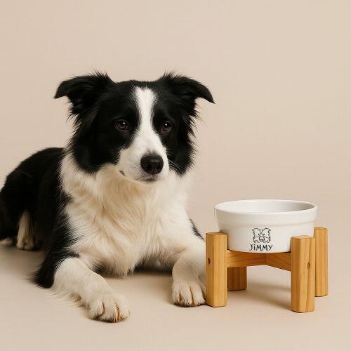 Kit Comedouro + Bebedouro Personalizados Com o Nome do Pet - Dupla de Tigelas de Cer�mica para Pets - Border Collie