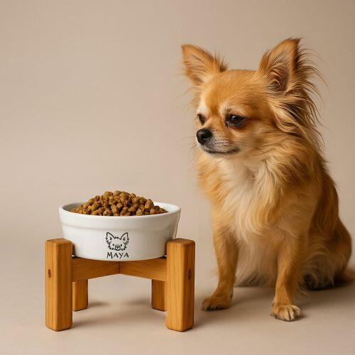 Kit Comedouro + Bebedouro Personalizados Com o Nome do Pet - Dupla de Tigelas de Cer�mica para Pets - Chihuahua Peludo