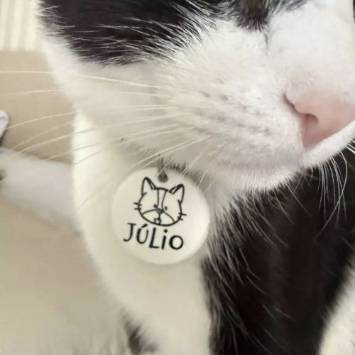 Kit Personalizado com Comedouro, Bebedouro e Tapete | Escolha a Raça do Pet - Coleção Carinhas