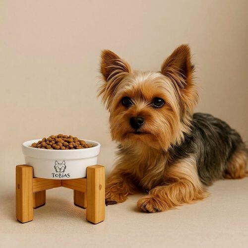 Kit Comedouro e Bebedouro de Cer�mica Personalizados - Meu Pet - Escolha a Ra�a