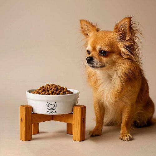 Kit Comedouro e Bebedouro de Cer�mica Personalizados - Meu Pet - Escolha a Ra�a