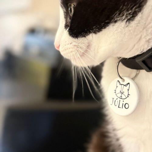 Kit Comedouro e Bebedouro de Cer�mica Personalizados - Meu Pet - Escolha a Ra�a