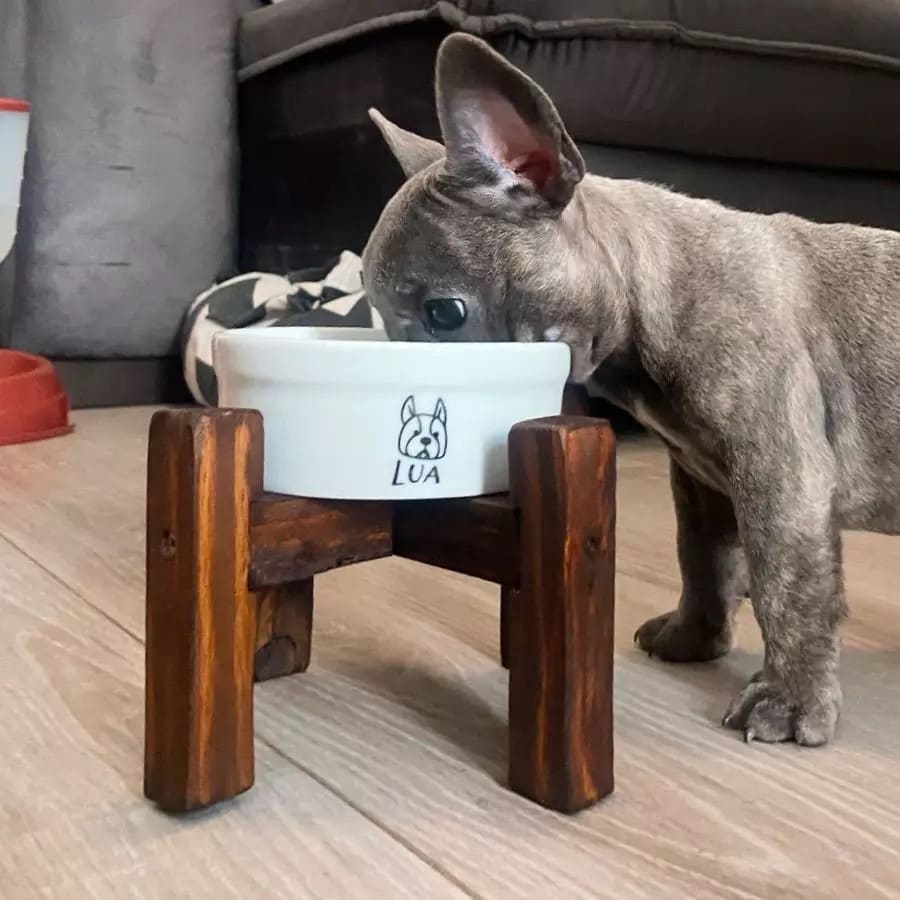 Kit Comedouro Personalizado com Suporte Individual - Escolha a Raça | Coleção Meu Pet