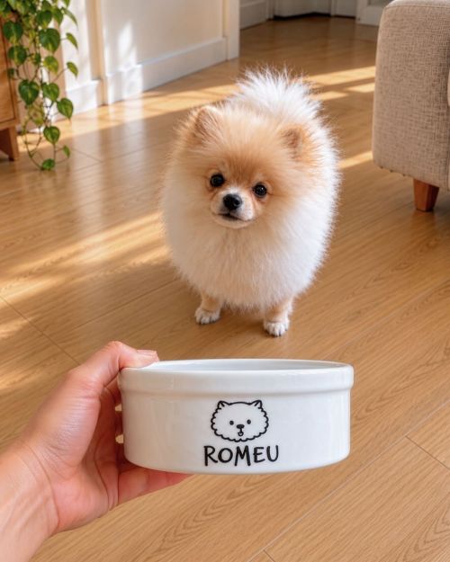 Kit Comedouro e Bebedouro Personalizados + 2 Suportes Individuais - Escolha a Ra�a | Cole��o Meu Pet