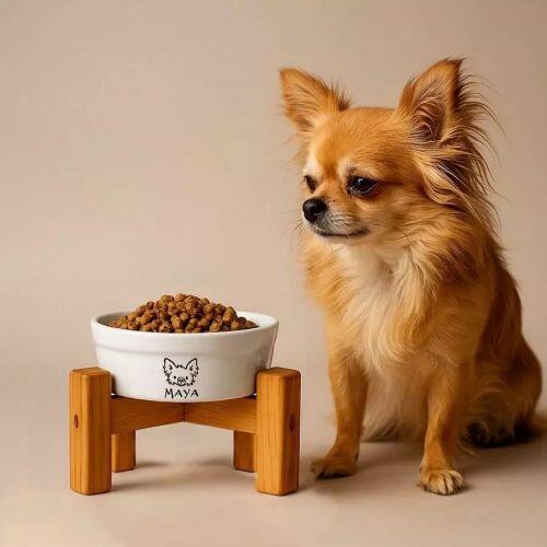 Kit Comedouro e Bebedouro Personalizados + 2 Suportes Individuais - Escolha a Ra�a | Cole��o Meu Pet