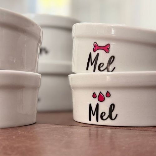 Kit Comedouro e Bebedouro de Cerâmica com Nome do Pet - Escolha Cores e Ícones
