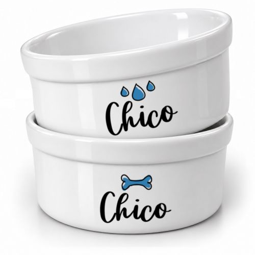 Kit Comedouro e Bebedouro de Cerâmica com Nome do Pet - Escolha Cores e Ícones