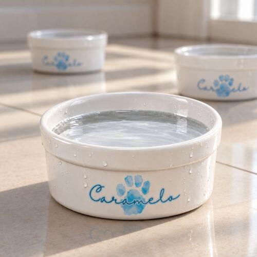 Kit Tigela Personalizada com Suporte Individual - Escolha a Cor - Patinha Aquarela