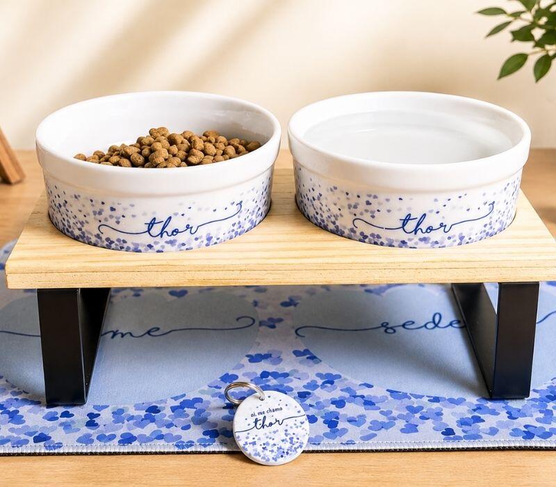 Kits Pot Pet