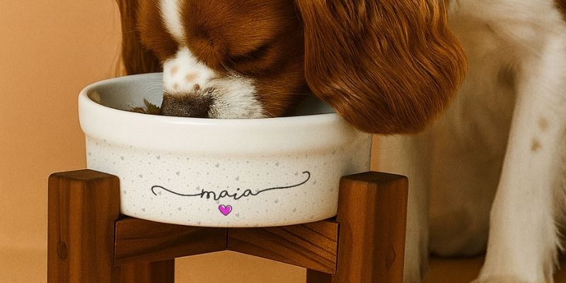 Linha de produtos personalizados Pot Pet