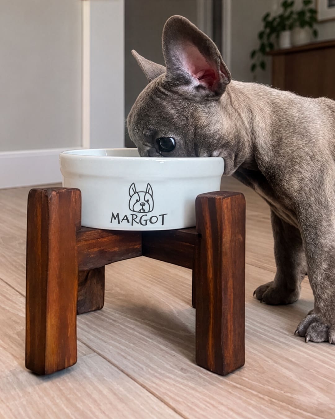 Tigelas de cer�mica Meu Pet personalizadas com carinha e nome