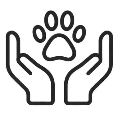 Comedouro e bebedouro personalizados com raça e nome do pet