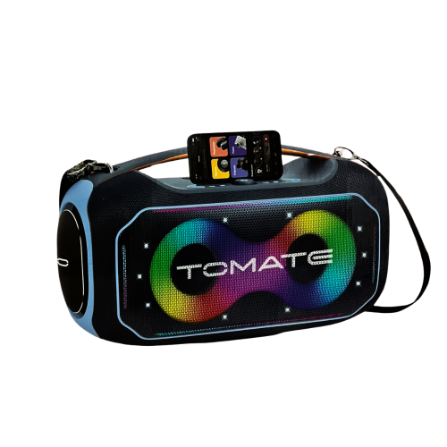 Comprar CAIXA DE SOM BLUETOOTH TOMATE 360W PROFISSIONAL MTS8013