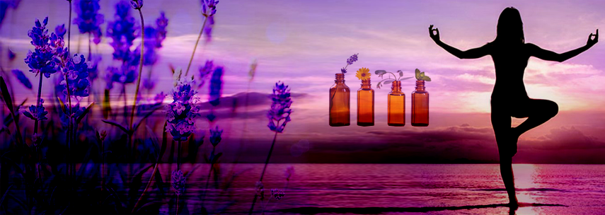 Aromaterapia: �leos essenciais favorecem a pr�tica de yoga e medita��o